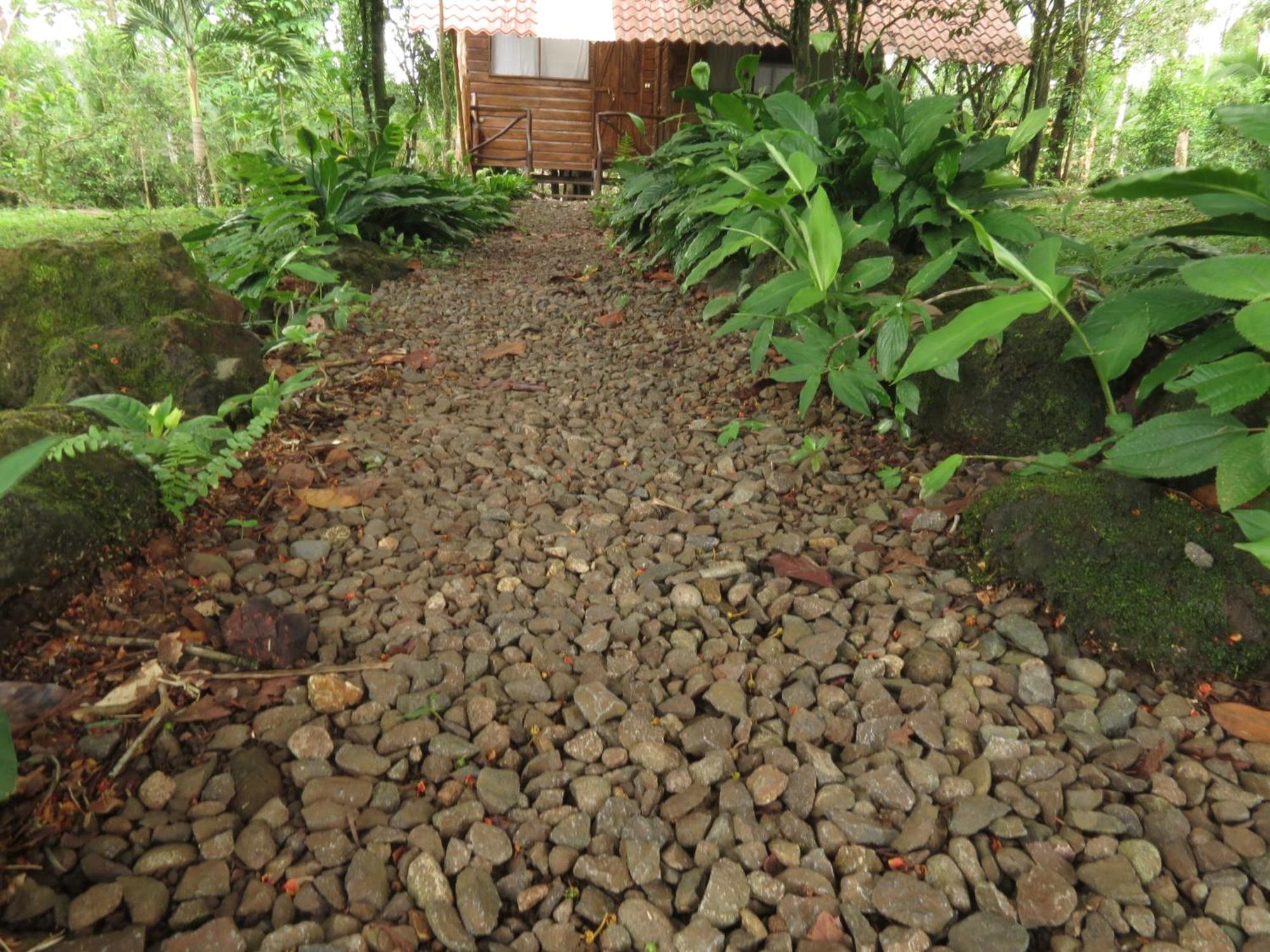 Vocare Finca Agroecologica Upala Bagian luar foto