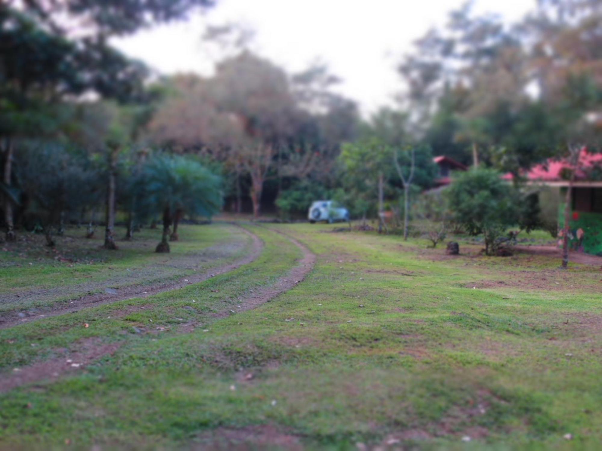 Vocare Finca Agroecologica Upala Bagian luar foto