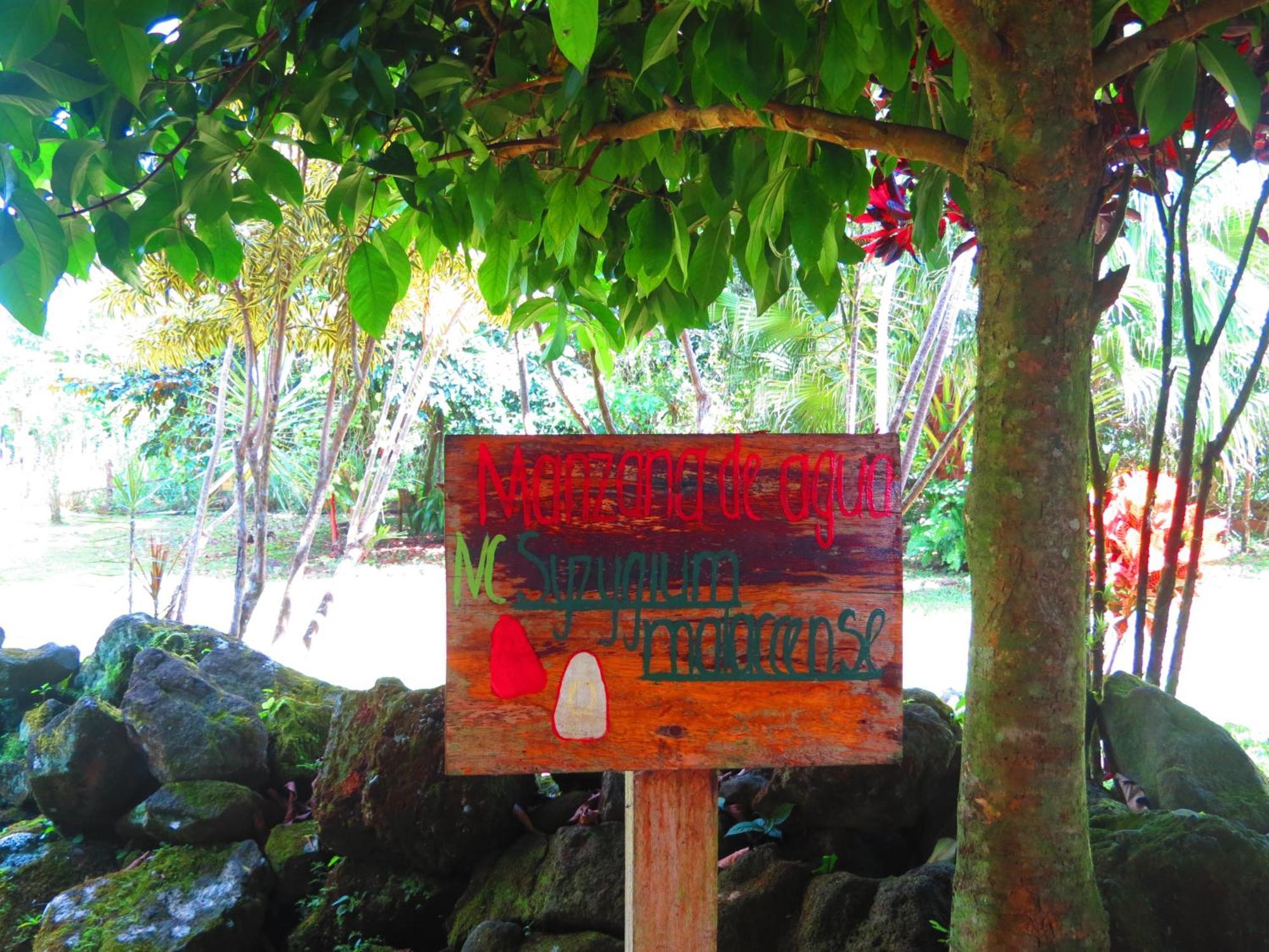 Vocare Finca Agroecologica Upala Bagian luar foto